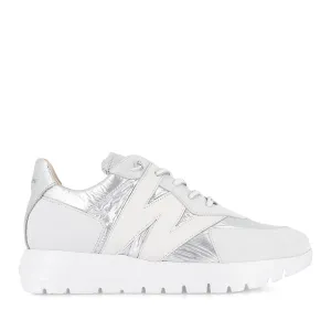 APEROL A-2464 - SILVER MULTI