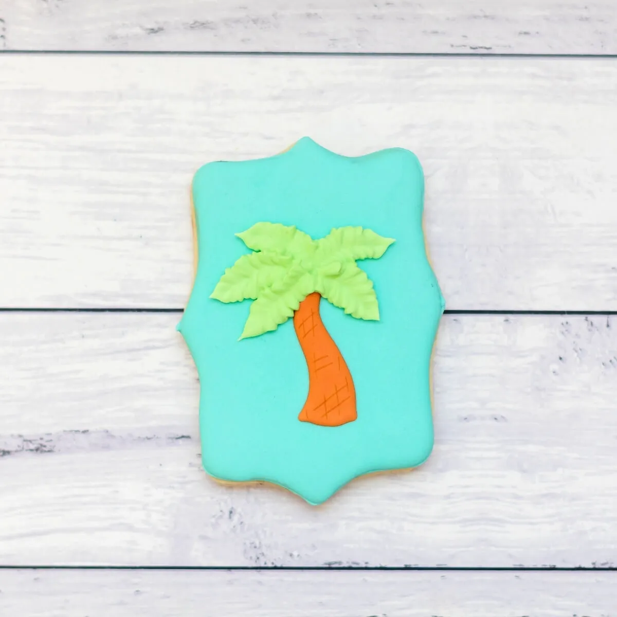 Seasonal Cookies | Summer Fun Duo