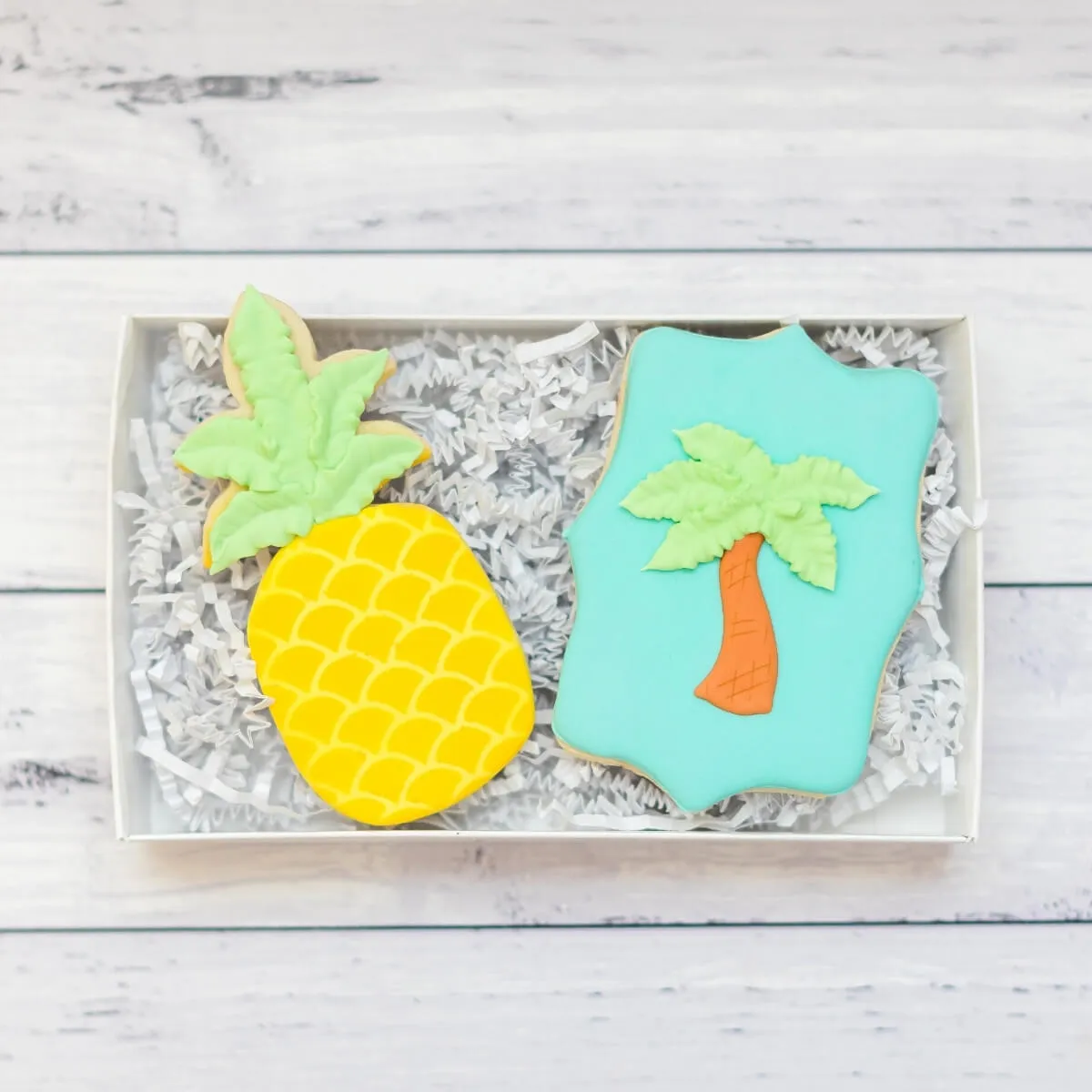 Seasonal Cookies | Summer Fun Duo