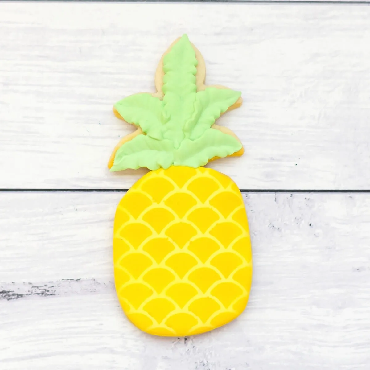 Seasonal Cookies | Summer Fun Duo