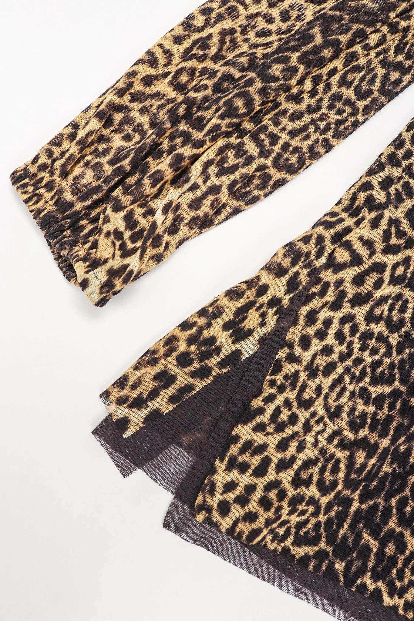 Soleil Leopard Mesh Minidress Tunic